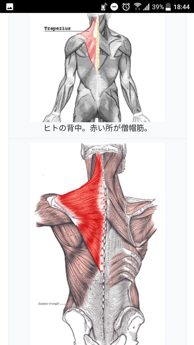 Wikipediaより引用 Hashtag On Twitter