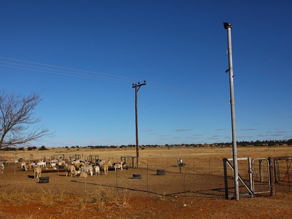 Veediefstal neem toe met feestyd op hande - bit.ly/2hKGbvX
<a href="/livestocktheft/">Veediefstal aanmeld</a> <a href="/Rooivleis/">Rooivleis</a>
