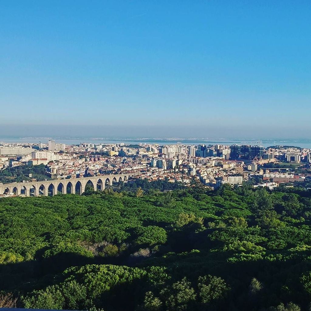 andrealvespt's tweet photo. #lisbon #viewfromtop #monsanto #lungsoflisbon #panoramicrestaurant #aqueduct #viewfromtheafternoon #packedaf https://t.co/poiomE46e2 https://t.co/GBCG6pIiT5