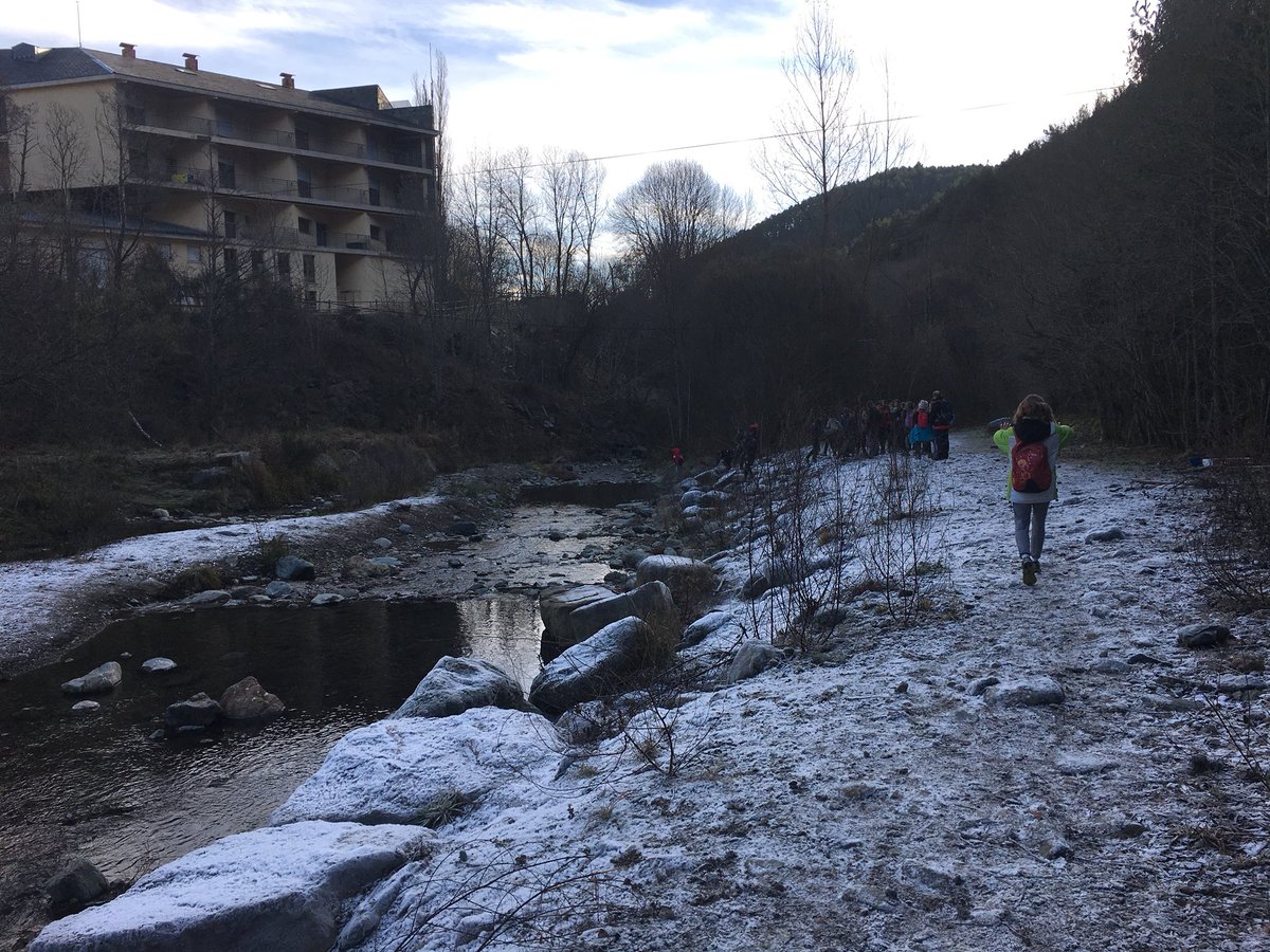 InstitutBiM's tweet photo. It’s frozen freezing #planoles #stagearts #immersió https://t.co/x4lSvtE0tE