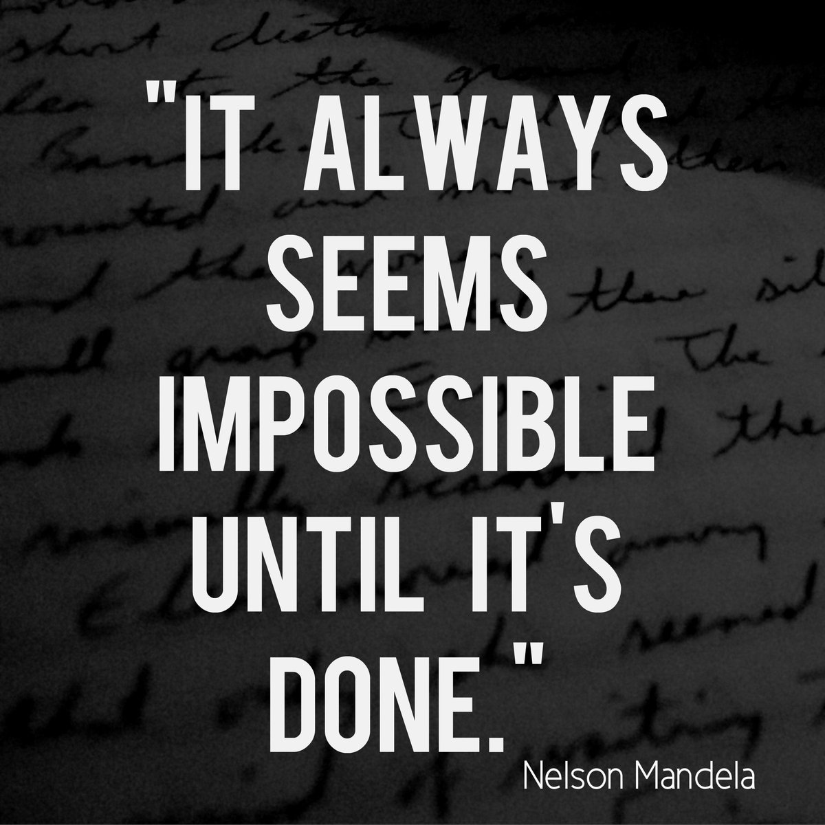 Daily Yers tweet media