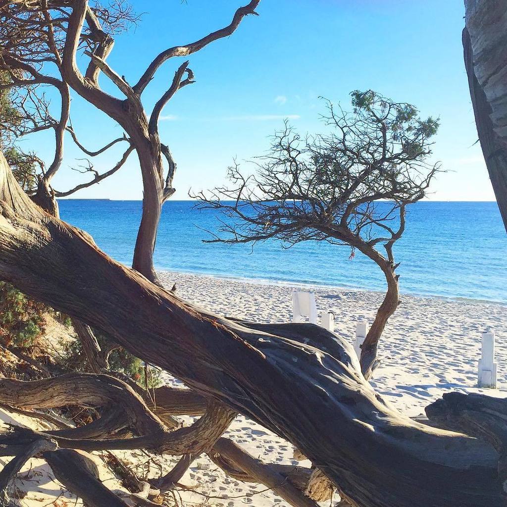 SardegnaAlMare's tweet photo. Grazie a @cristiana_loddo per aver usato il nostro hashtag #SardegnaAlMare:
“Devi mettere meno cuore" Sembra una ricetta...Beati quelli che sanno dosarsi!cit___ღ__________________ღೋ •
#buongiorno☀️ #beach #sea #sun #nature #seascape #ginepro #algher… https://t.co/sRvPelNOo7 https://t.co/9Cnqp1Ph43