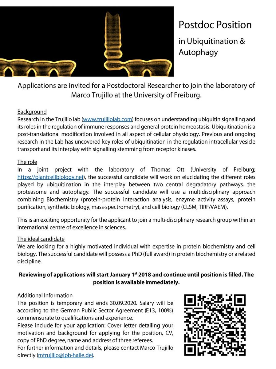 MCBotany's tweet photo. #Postdoc position in #ubiquitination and #autophagy available in the newly established group @TrujilloLab @UniFreiburg https://t.co/RsN5B8ugH5
