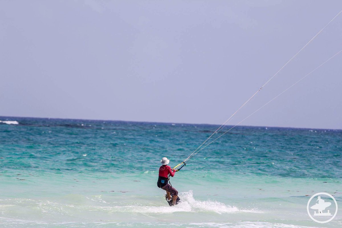 Kite Sisters tweet media