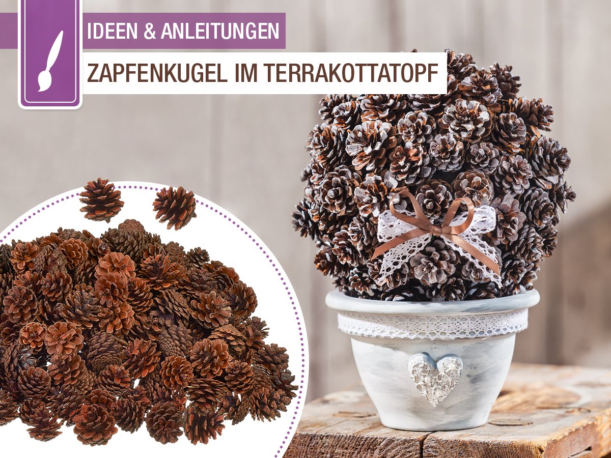 vbshobby's tweet photo. Wie ihr diese moderne Zapfenkugel im Terrakottatopf selbst bastelt und euren Garten im winterlichen Stil wieder aufblühen lasst, erfahrt ihr hier: https://t.co/0EN2GdkGx1 #winter #deko #vintage https://t.co/1m4J76XJ7L