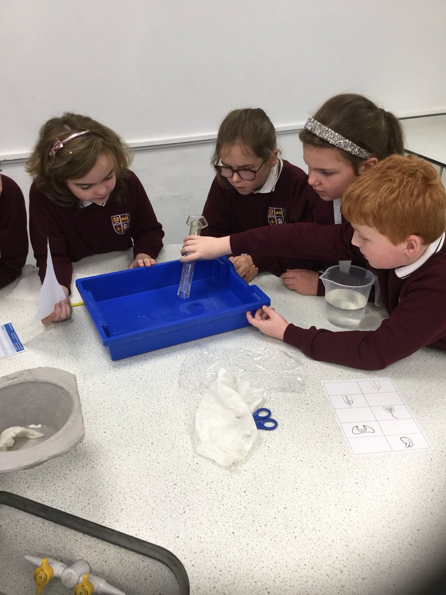 RCS_Alder's tweet photo. Alder is experimenting to see which material is the most absorbent. https://t.co/Bhwf4EkNhK