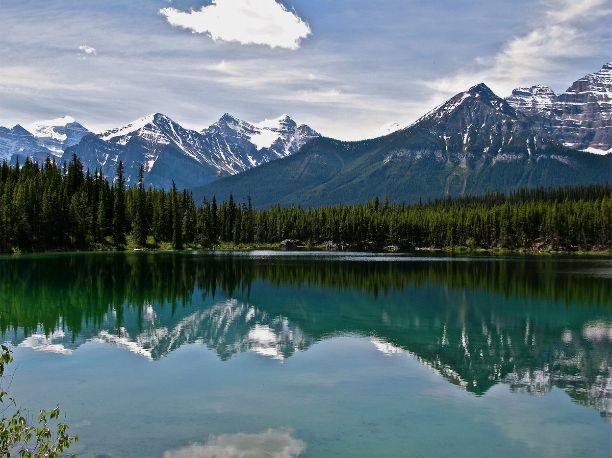 Ryan Design tweet media