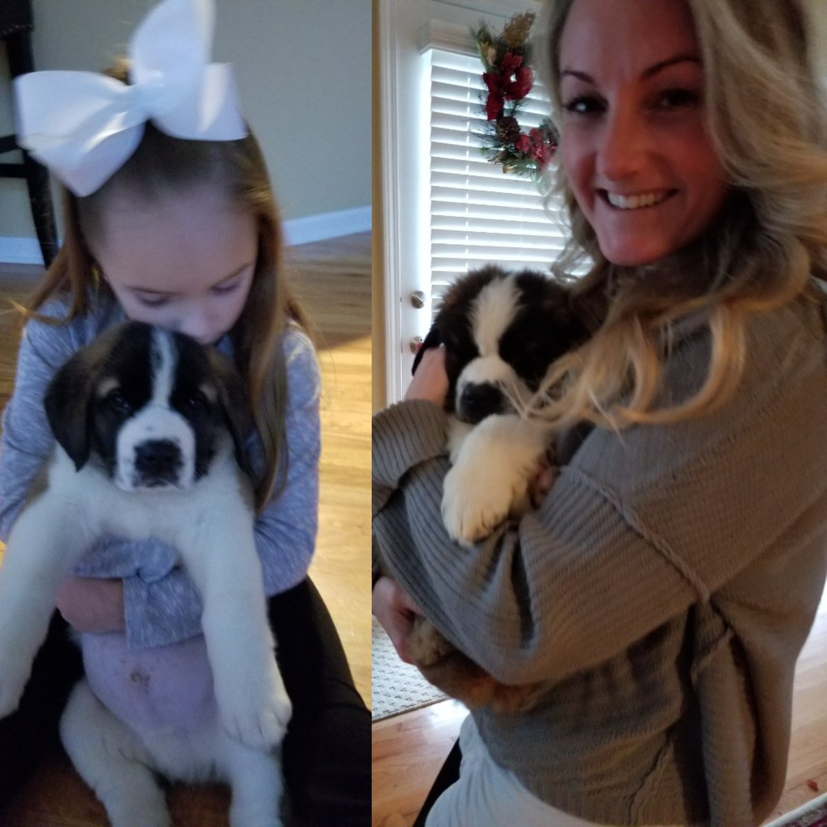 CaitlinSantini's tweet photo. Thankful for our family &amp; furry family #saintbernards #TDayCbs https://t.co/7t6ngBL3Ga