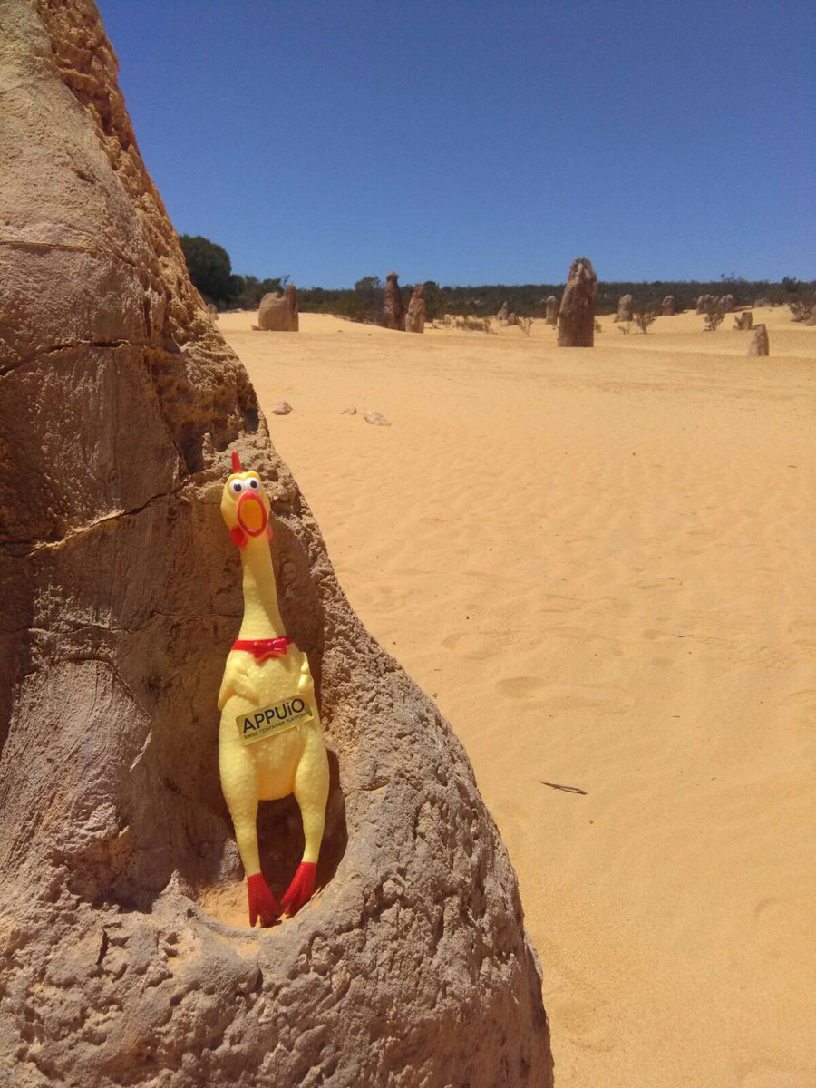 APPUiO_Huhn's tweet photo. D Hannelore isch nach #China wiiter uf @Australia und tankt #somewhereinthenowhere so richtig Sunne. Chli Farb schadet ihre a ihrem grosse Uftritt am one Year #APPUiO Event am 30.November im #BogenF sicher nid. Jetzt no für die grossi Sause amäude: https://t.co/d2uWnid5H2 https://t.co/iLZ2zA2f4a