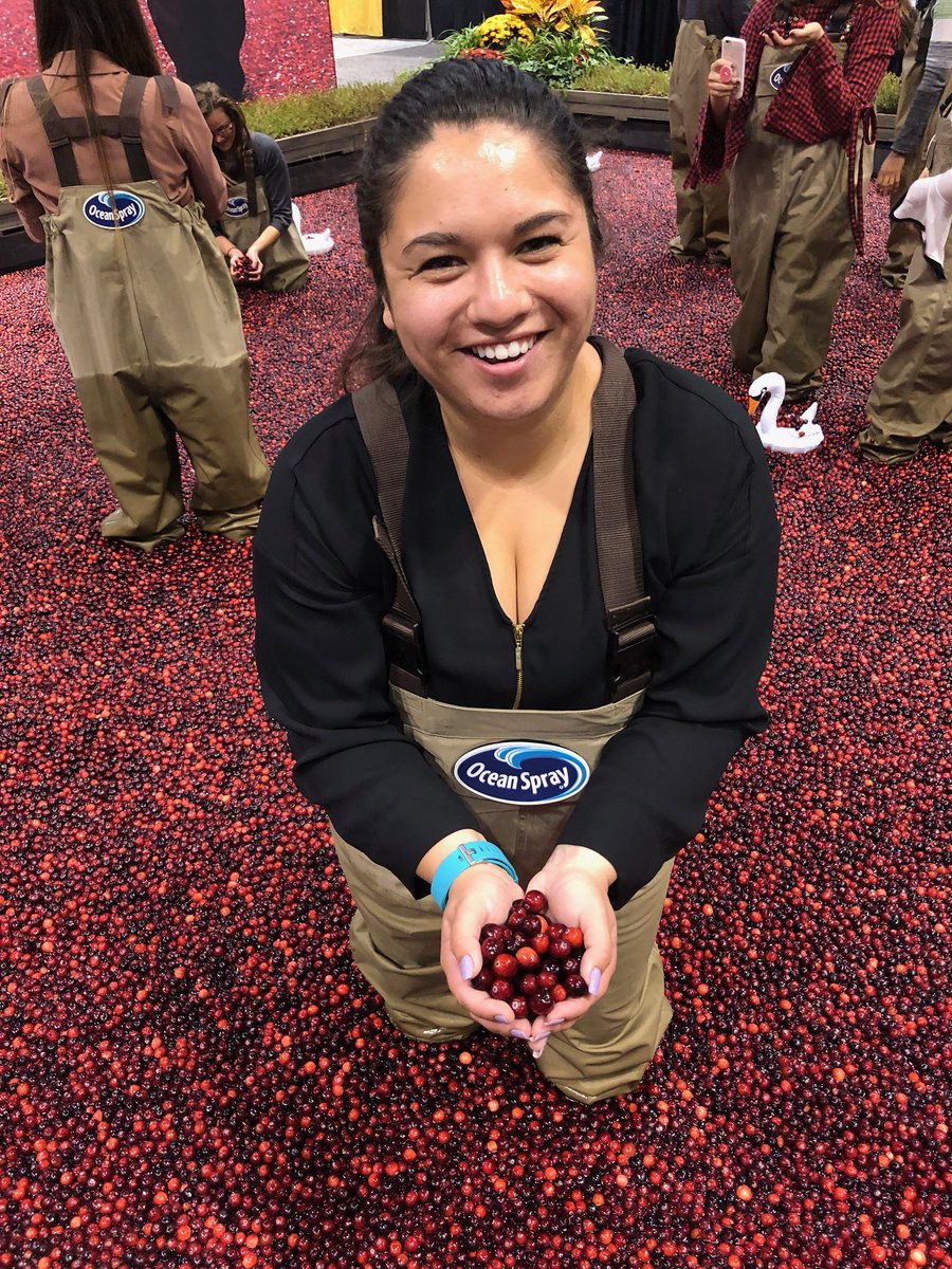 NutriShinn's tweet photo. #throwback to when I got to splash around in an @OceanSprayInc cranberry bog at #FNCE2017 π¦ Wishing I had a bog of my own to make some sauce today, but with all the time our other creations took this year, Iβll have to settle on canned π
#tbt #eatmorecranberries #thanksgiving https://t.co/YXAnuOjjKA