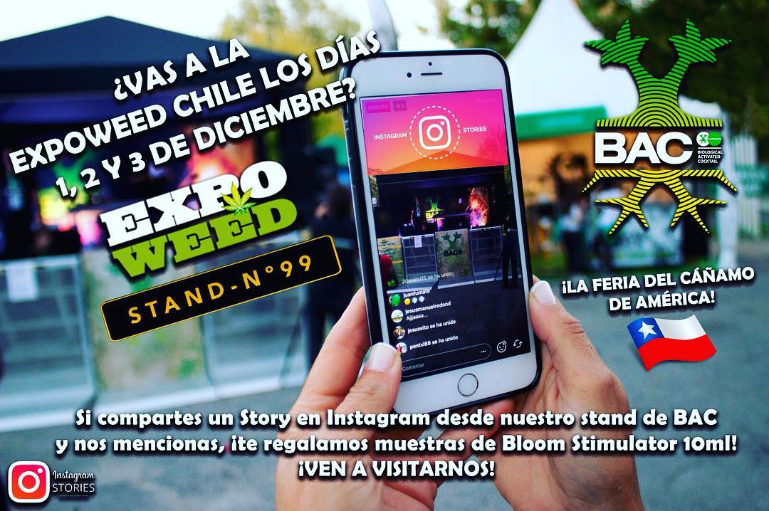 ChileBac's tweet photo. i compartes un #instastory en Instagram desde nuestro stand de BAC y nos mencionas, ¡te regalamos muestras de Bloom Stimulator 10ml! 😜🔥🔥🔥🔥💥💥 ¡VEN A VISITARNOS! @Expoweed !! 🔝🌴🌴🌴Stand 99!!! 😀😀🔥🔥🔥🔥 La feria del cáñamo de América! No queda nada! 💥💥 #daretocompare https://t.co/QivoRzTaMZ