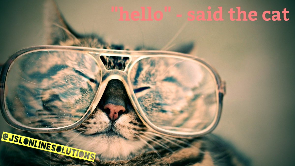 JSLsolution's tweet image. #wednesday #cats

#londonlife #digitalmarketing #digitalagency #digitalagencylife #agencylife #marketing #seo #socialmedia #Success #hustle #wisdom #quoteoftheday #inspiration #motivational