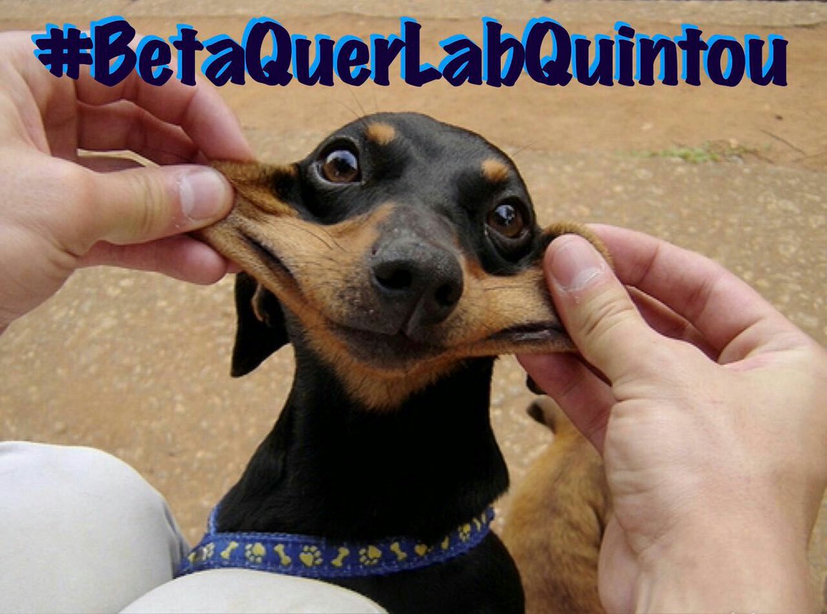 jarbas1010's tweet image. 📌#BetaQuerLab 
📌#BetaQuerLabQuintou