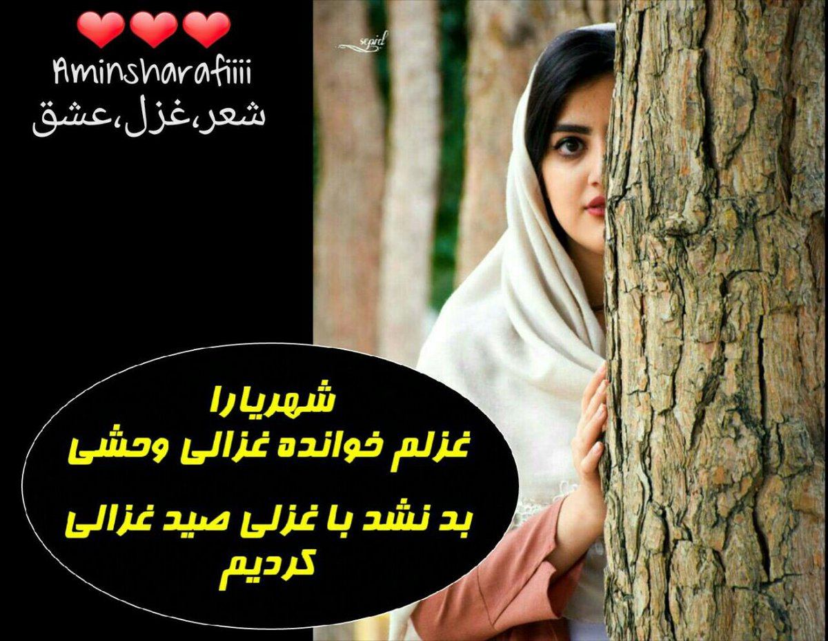 شهریارا غزلم خوانده غزالی وحشی
بد نشد با غزلی صید غزالی کردیم