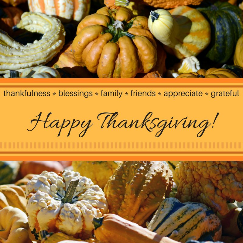 OGAdvocates's tweet photo. Happy Thanksgiving! https://t.co/u4LIMEpmFV