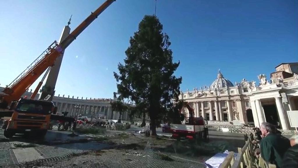 VIDEO | In piazza San Pietro è arrivato l’albero di Natale dlvr.it/Q2SftK <a href="/LaStampa/">La Stampa</a>