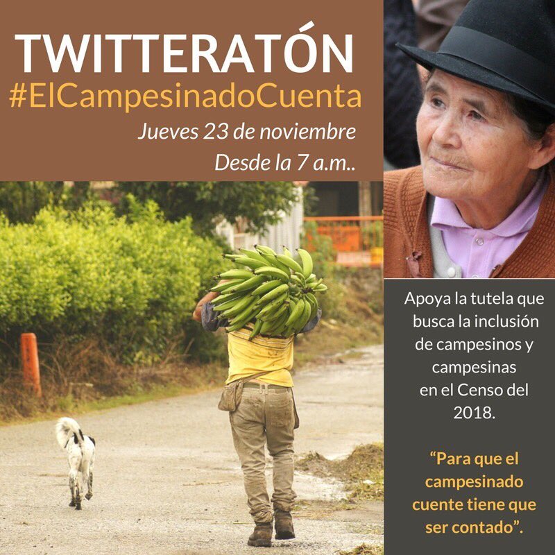 Organizaciones campesinas han decidido interponer una acción de tutela para proteger el derecho fundamental de las y los campesinos a ser contados en el censo 2018 y así, satisfacer sus derechos fundamentales a la identidad, la información y la igualdad. #ElCampesinadoCuenta