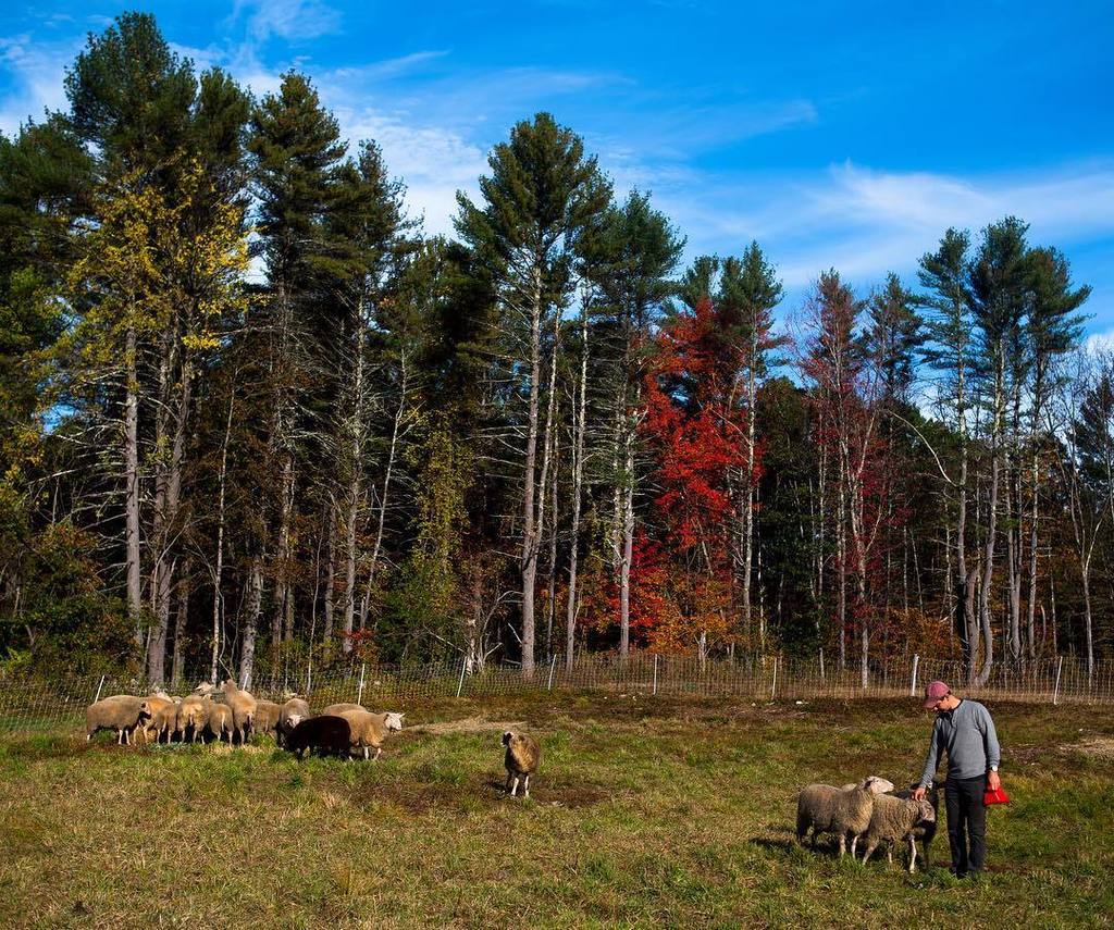 Lillooet Cheesery (LillooetFarm) Twitter