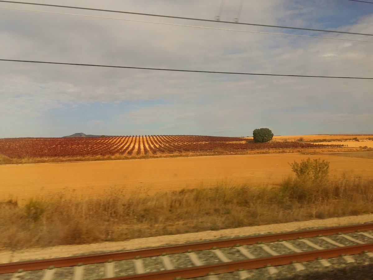 JabonesdelEdn's tweet photo. Desde el tren.
#lamancha #tierraseca #colerescalidos https://t.co/LRVdfmoFgH