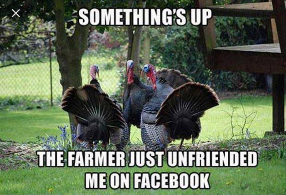 Happy Thanksgiving to everyone. Hope you have a great day today. Enjoy family and friends. Off to the gym, time to get it in #Grinding
