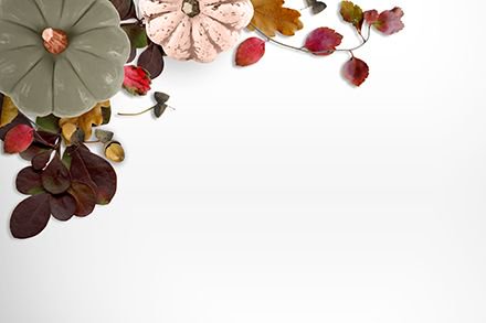 GYORK_LONDON's tweet photo. Wishing our followers in the United States a very Happy Thanksgiving
May you enjoy time together with family and friends and share memories and thankfulness as one
#thanksgiving2017 #gyorkinusa #gyorklondon https://t.co/dO3vaHYDB2