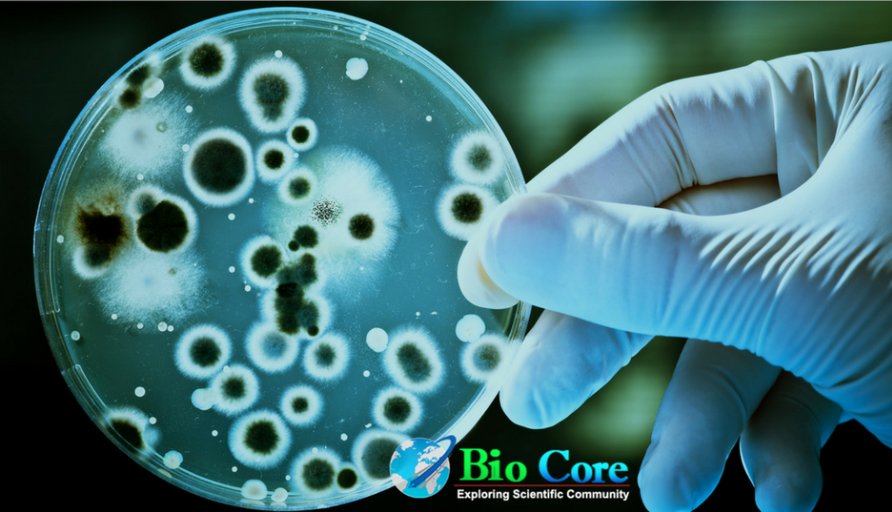 biotechijbb's tweet photo. Our Biotechnology Journal Managing Editors will help you in a smooth flow of the publication. Contact them at ijbb@biocoreopen.info
#Biocore_Group
#Biocore_Open_Access_Journals
#IJBB
#Biotechnology_Journal https://t.co/ACQ6zKtiTR