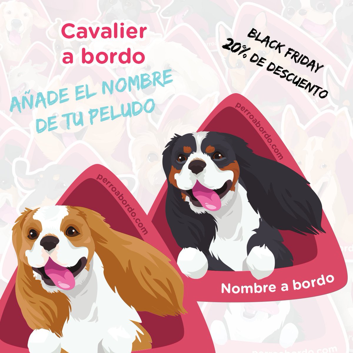 Os presentamos a nuestra primera raza oculta! Muchos acertasteis y es que era inconfundible con esas orejitas! Os presentamos a nuestro #Cavalier a bordo #pegatinasmolonas #perroabordo #cavalierking #cavaliers perroabordo.com/products/pegat…