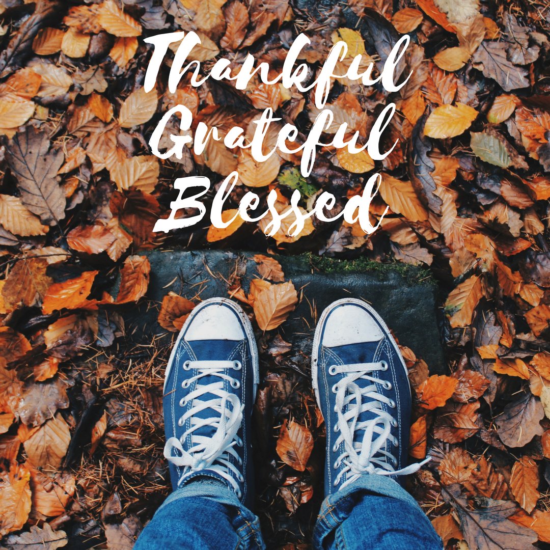 TheCollectiveNP's tweet photo. In everything give thanks. 1 Thessalonians 5:18 https://t.co/qYNB01Mzvs