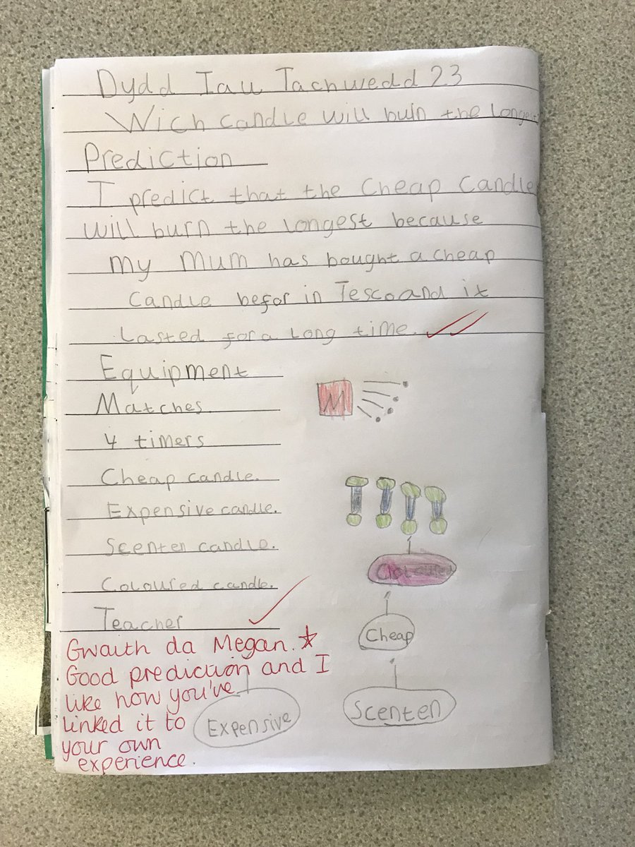 PenllergaerP's tweet photo. Some brilliant predictions for our investigation! π
πΌπ₯β¨ #ppsyear1/2 #ppsst #ppsstem https://t.co/7oVMsE0oka