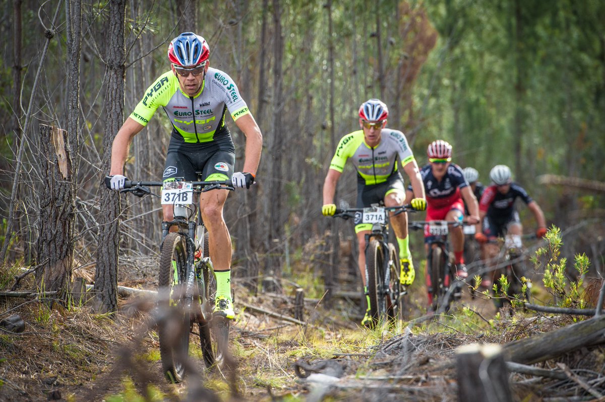 In the Bunch tweet media