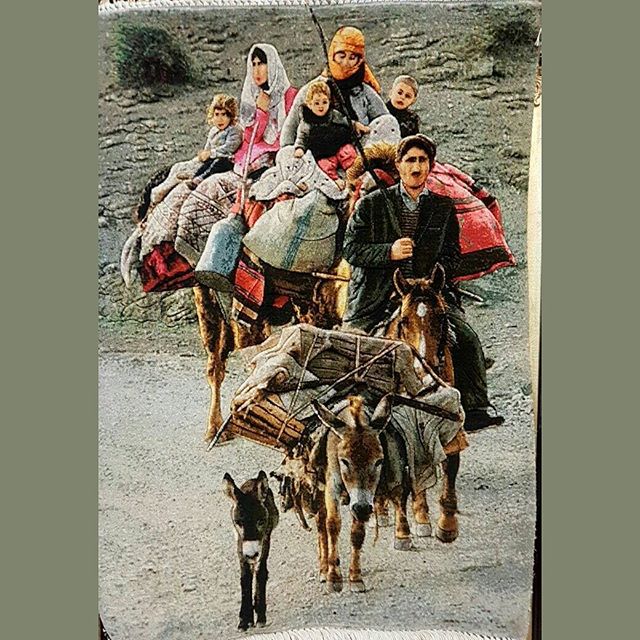 PictorialCarpet's tweet photo. Size (اندازه ) : 58 x 82 cm Foundation(چله) : Cotton(نخ) Pile : 3D(برجسته) 080 #persiantableaurug #tableaurug #pictorialcarpet #persiancarpet #tabrizrug #tabrizcarpet #tablofarsh #سجاد #تابلوفرش #orientalcarpet #oriantalrug #alfombrapersa #teppich#azerbaijan https://t.co/O7zabYDGJa