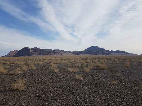 Newall Hunter tweet media