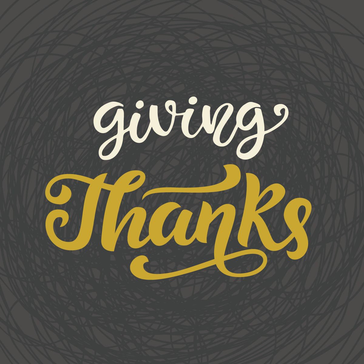MyHelpfulAce's tweet image. Today we would like to give thanks to YOU our loyal customers and communities. Thank you for supporting local business, for championing your own projects, and for being the super rad people that you are. From our family to yours, happy Thanksgiving.