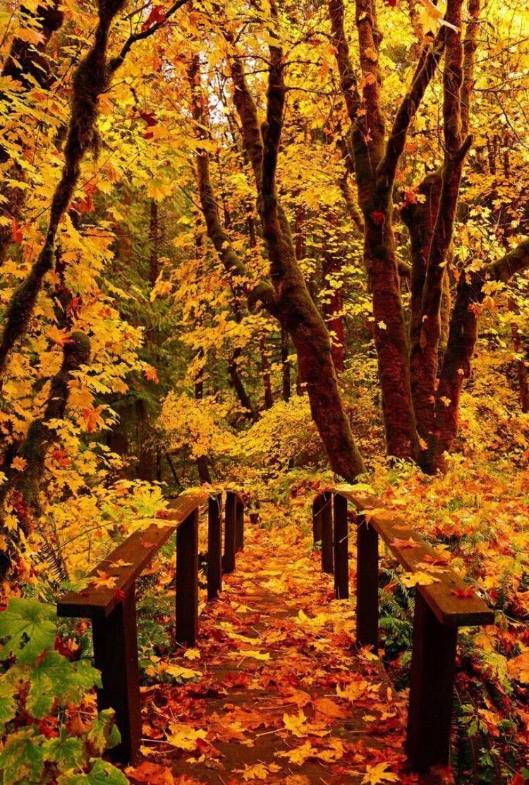 좋은 말을 하고
좋은 생각을 하면 

삶이 좋을수 밖에 없는거야

고운 행동을 하고
고운 마음을 품으면

인생이 고울수 밖에 없는거야

생각이 고와야
곱게 늙어가게 되고

마음이 고와야
곱게 익어가게 되는거야