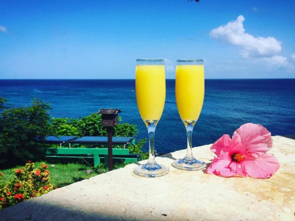 dslusserii's tweet photo. Morning mimosas served for two. ๐บ
๐ท @snbiehle
#SandalsLaToc
#StLucia
#FunintheSunVac https://t.co/vRreEgJbFO