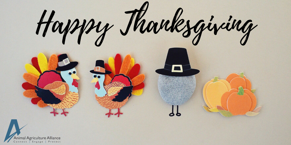 animalag's tweet photo. Happy Thanksgiving! We hope you enjoy a restful holiday with good company and tasty food! #WhyIThankAg https://t.co/Tmkkbnwvun