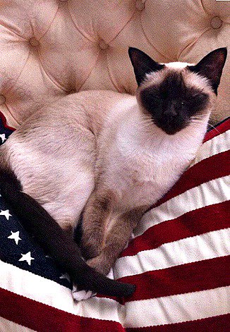 rickygervais's tweet photo. Happy Thanksgiving. https://t.co/rYzxgnnKFA
