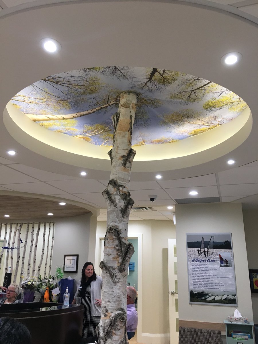 j_akermandesign's tweet photo. Bringing nature indoors promotes well-being and comfort in the reception area of #LittleBirdPediatric Dentistry in #Milton
#nature #outdoorsinside #wellbeing #rejuvenatingenvironment #pediatricofficedesign #dentalofficedesign #ceilingdesign #JeanAkermanDesign https://t.co/AD8wHY2i5v