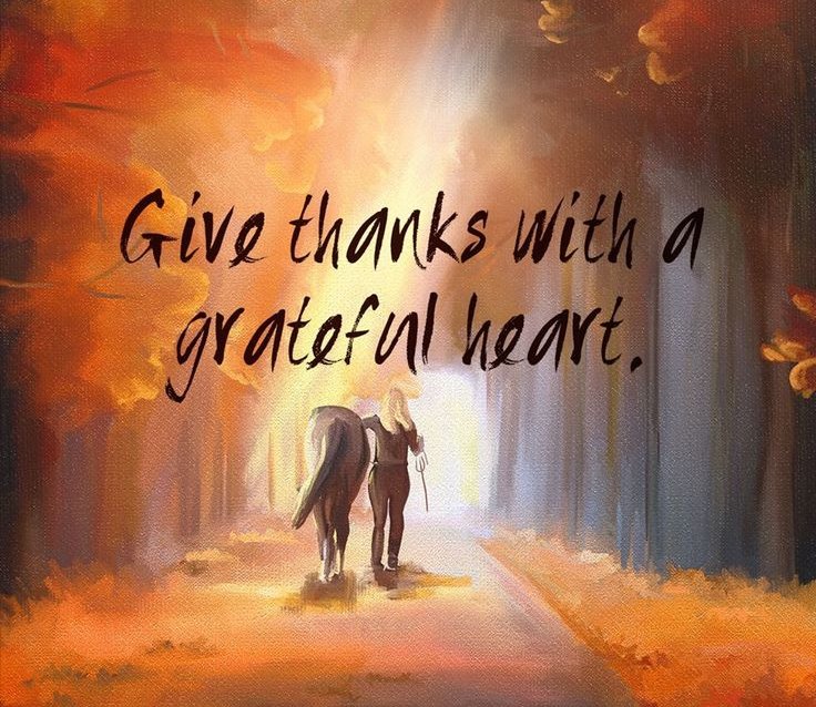 Everybody looks forward to the Thanksgiving feast. The turkey, the pies, and the celebration. However, Thanksgiving is incomplete without a moment of reflection. Spare a moment of gratitude for life's little blessings. For, it is these little blessings that enrich our life.🦃🍁