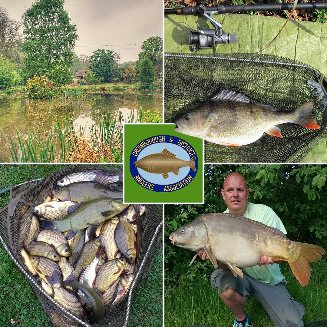 tightlinesgame's tweet photo. Welcome Crowborough &amp; District Anglers Association to the #TightLinesboardgame community. The club has a nice range if waters in its portfolio, including six miles of canal, two reservoirs and 14 lakes. Such variety means a great set of game cards! #FishtheWorldapp #inyournet2018 https://t.co/EOPRsonxHE