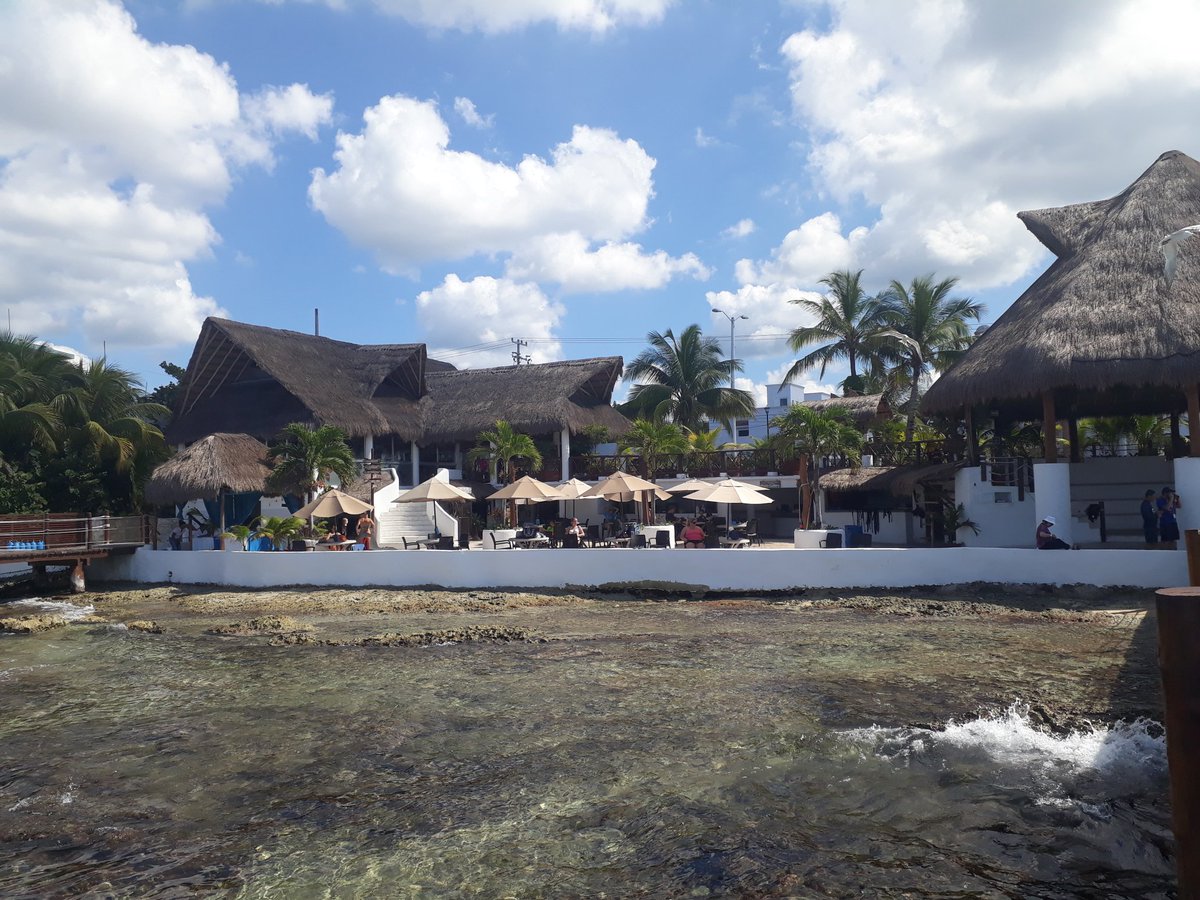 karaysandsharks's tweet photo. Asi esta mañana!!
Esperando por ti!Descubre la magia de Cozumel!!
#stingraybeach
#raysandsharks
#beachclub
#oceanview
@paguilartorres
@VisitCozumel @TurismoCozumel @ViajemosPorQRoo @CzmHotels @InterContiCoz @JuventudCozumel #CozumelBeyondTheSun
#Juevesdeganarseguidores https://t.co/wwbw4Nn1Pf