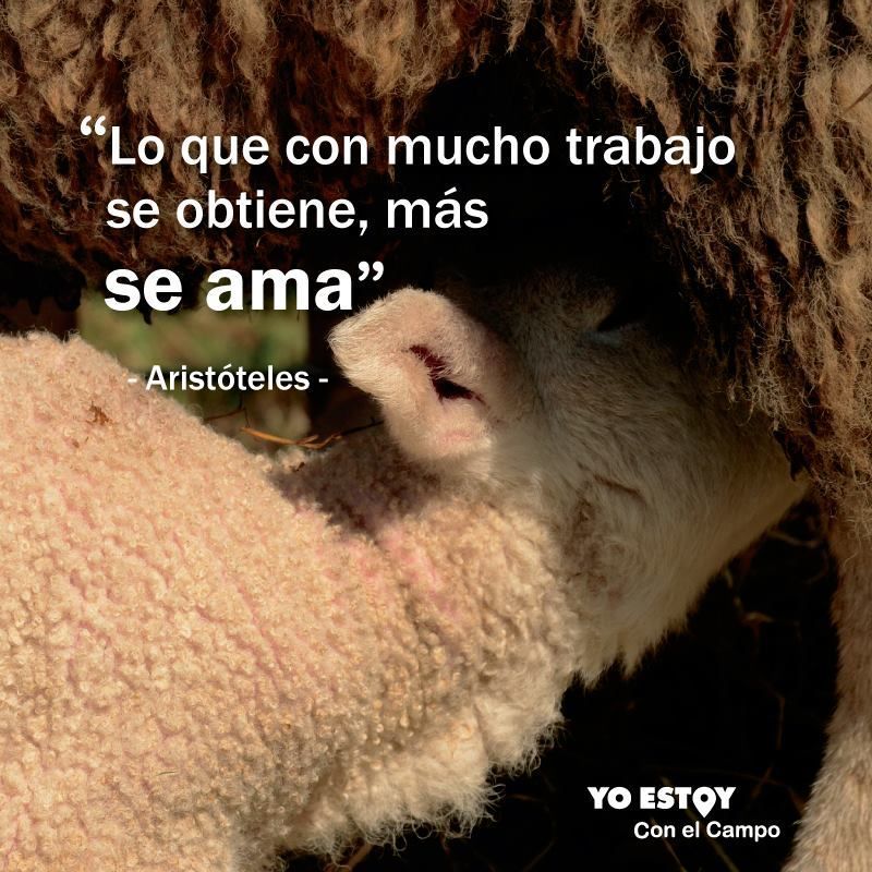 ¡Valoramos el trabajo de nuestros productores agropecuarios!