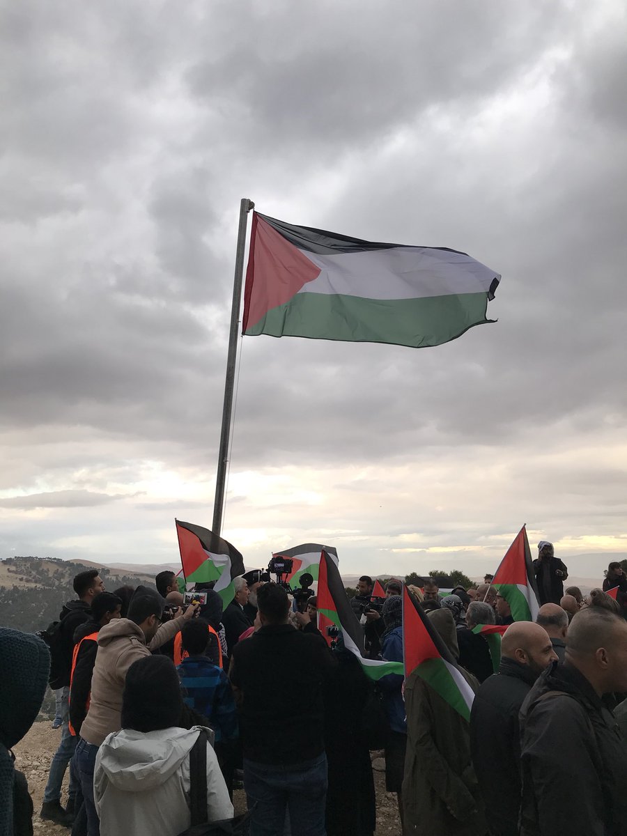 Mariam Barghouti مريم البرغوثي tweet media
