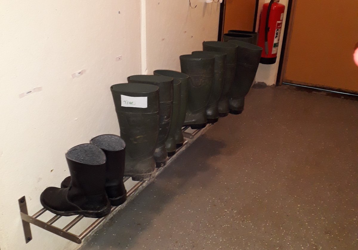 Reetta Palva tweet media