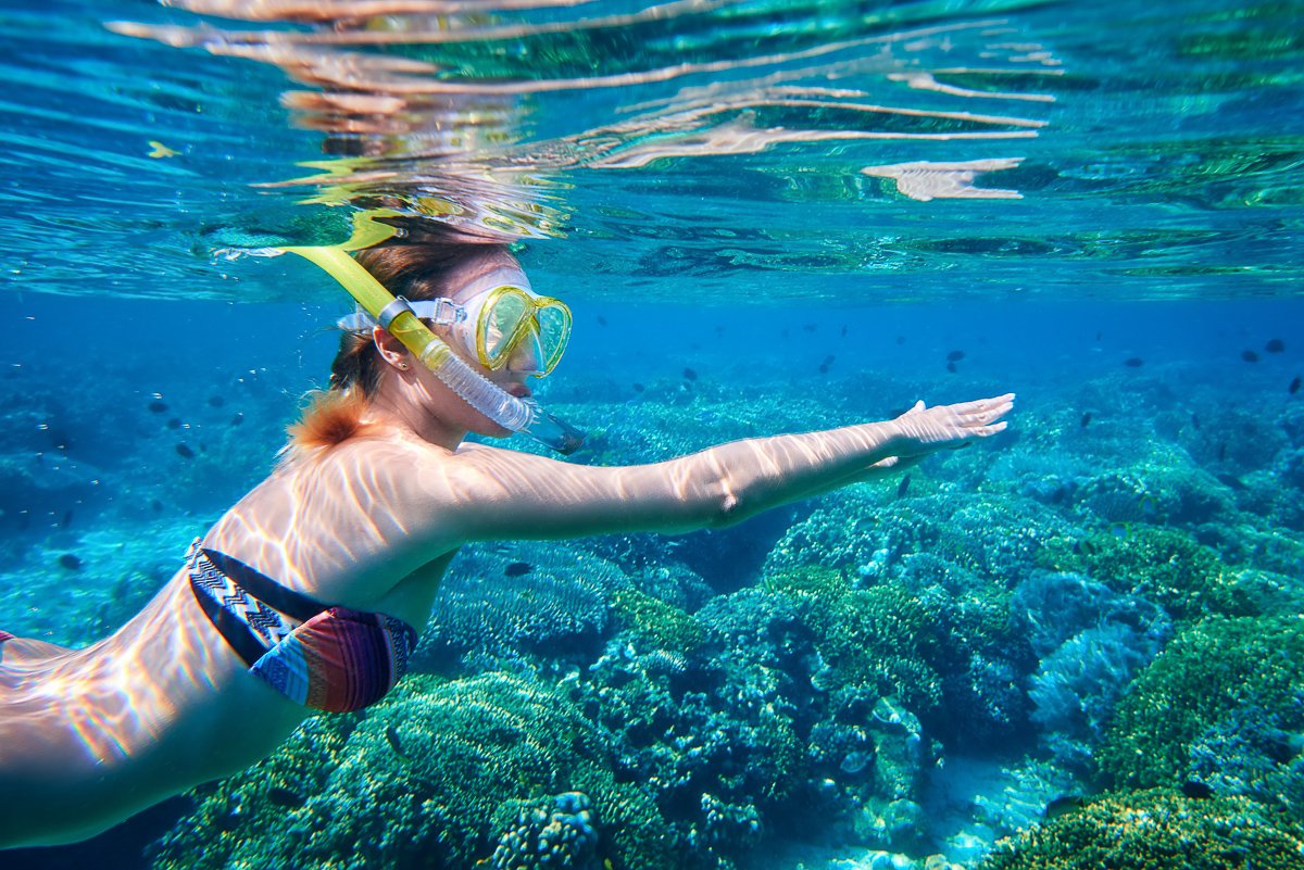 mycancuntours's tweet photo. NEW BLOG! How to snorkel in Cancun, tips and tricks from a pro! https://t.co/zrJ4SLG3Gc #cancun #snorkel https://t.co/El56d4gG17