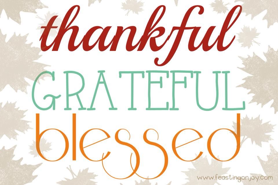 KingRiverRanch's tweet photo. Happy Thanksgiving! https://t.co/PPpghze2mW