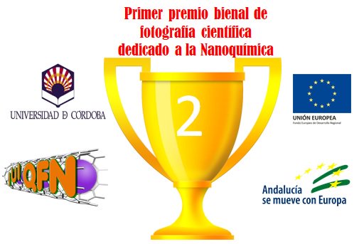 La obra “Nano-fish” presentada por Javier Patarroyo ha sido galardonada con el SEGUNDO PREMIO del Concurso Bienal de Fotografía Científica dedicado a la Nanoquímica. El concurso ha sido organizado por @IUNAN_UCO y <a href="/Univcordoba/">Universidad Córdoba</a>