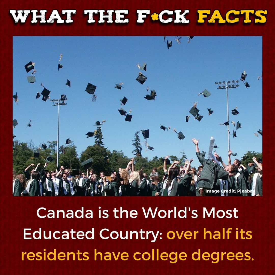 WhatTheFFacts tweet picture