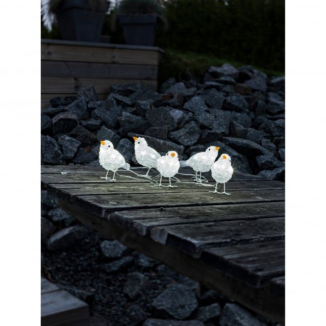 This charming quintet of small birds looks perfect all year round,  but they really shine on an outdoor Christmas tree 🎄
#Christmas #birds #lights #decorations

buff.ly/2Ahf4Uw