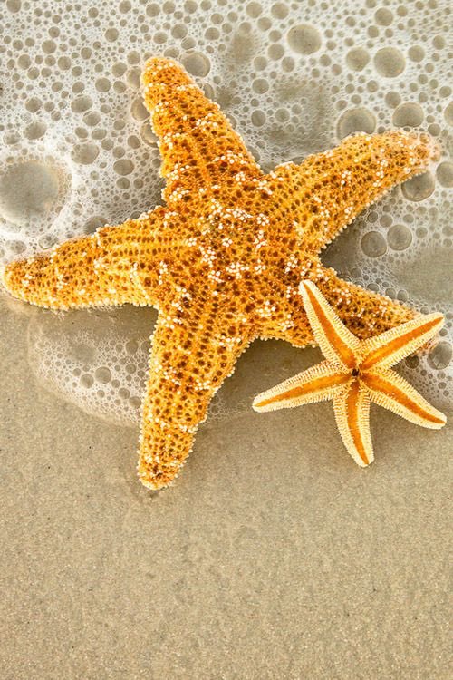 LinziG_BaH's tweet photo. Great day looking at customer service with the new members of the MCCC #FabGroup #CustomerService #MakeADifference  @AlisonG_BaH @debrad_BaH @VickiS_BaH @JamieH_BaH https://t.co/YTWJkbfea0